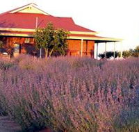 Bella Lavender Estate - Accommodation Yamba