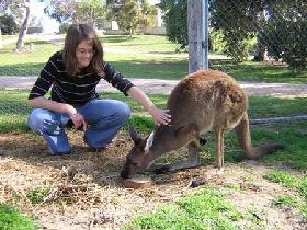 Pendleton Farmstay - Accommodation Yamba 0