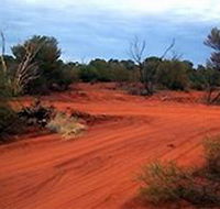 Tallaringa Conservation Park - Accommodation Yamba