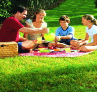 Bruny Island Berry Farm - Accommodation Yamba