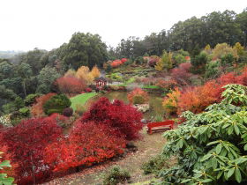 Emu Valley Rhododendron Garden - Accommodation Yamba 0
