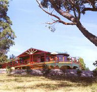 Barringwood Park Vineyard - Accommodation Yamba