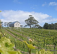 Bruny Island Premium Wines Bar and Grill - Accommodation Yamba