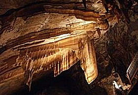 Gunns Plains Cave - Accommodation Yamba 0