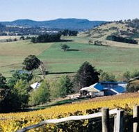 Freycinet Vineyards Pty Ltd - Accommodation Yamba