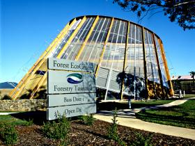 Forest EcoCentre - Accommodation Yamba 0