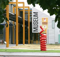 Queen Victoria Museum and Art Gallery - Accommodation Yamba