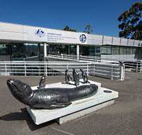 Australia's Antarctic Headquarters - Accommodation Yamba