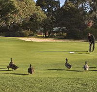 Royal Hobart Golf Club - Accommodation Yamba