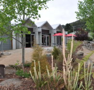 Tin Dragon Interpretation Centre and Cafe - Accommodation Yamba