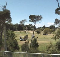 Greens Beach Golf Course - Accommodation Yamba