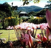 Blueberry Cottage Open Gardens - Accommodation Yamba