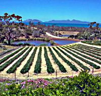 Kate's Berry Farm - Accommodation Yamba