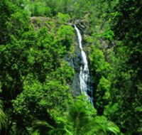 Kondalilla National Park - Accommodation Yamba