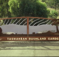 Tasmanian Bushland Garden - Accommodation Yamba
