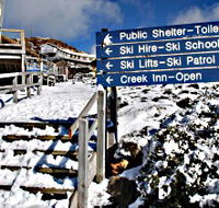 Ben Lomond National Park - Accommodation Yamba