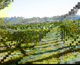 Surveyor's Hill Vineyards - Accommodation Yamba 0
