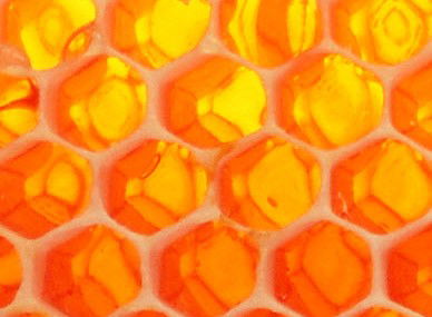 Glendevie TAS Accommodation Yamba