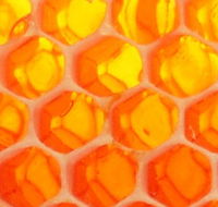 The Honey Pot - Accommodation Yamba