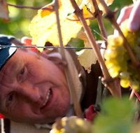 Puddleduck Vineyard - Accommodation Yamba