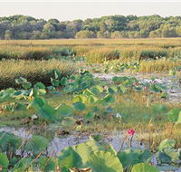 Fogg Dam Conservation Reserve - Accommodation Yamba