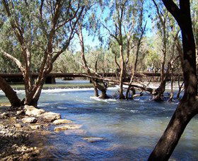 Low Level Nature Reserve - Accommodation Yamba 0