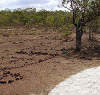 Wurrwurrwuy Garanhan Macassan Beach Interpretive Walk - Accommodation Yamba