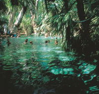 Mataranka Thermal Pool - Accommodation Yamba