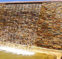 Howard Springs Nature Park - Accommodation Yamba