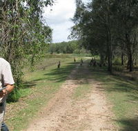 Coombabah Lakes Conservation Area - Accommodation Yamba