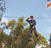 Adventure Parc at Currumbin Wildlife Sanctuary - Accommodation Yamba