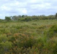 Pine Ridge Conservation Park - Accommodation Yamba