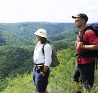 Sunshine Coast Hinterland Great Walk - Accommodation Yamba