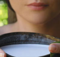 Ikatan Day Spa - Accommodation Yamba