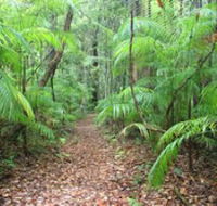 Delicia Road Conservation Park - Accommodation Yamba