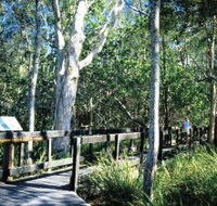 Kinaba Track - Accommodation Yamba