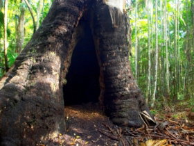 Tewantin National Park - Accommodation Yamba 0