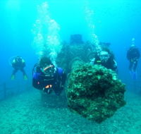 Ex-HMAS Brisbane Conservation Park - Accommodation Yamba