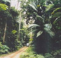 Conondale Great Walk - Accommodation Yamba