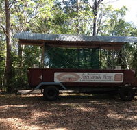 Apallonian Hotel - Accommodation Yamba