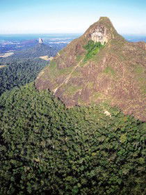 Mount Beerwah Track - Accommodation Yamba 0