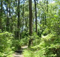 Mapleton Falls National Park - Accommodation Yamba