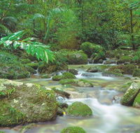Mossman Gorge Daintree National Park - Accommodation Yamba