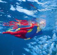 Great Detached Reef Dive Site - Accommodation Yamba