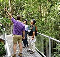Daintree Discovery Centre - Accommodation Yamba