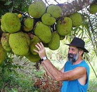 Cape Trib Exotic Fruit Farm - Accommodation Yamba