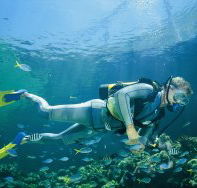 Tijou Reef - Accommodation Yamba