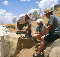 Riversleigh Fossil Fields - Accommodation Yamba