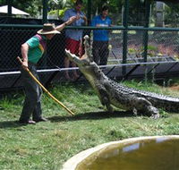 Snakes Downunder Reptile Park and Zoo - Accommodation Yamba
