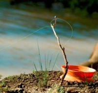 Charleville - Mangalore Warrego River Fishing Spot - Accommodation Yamba